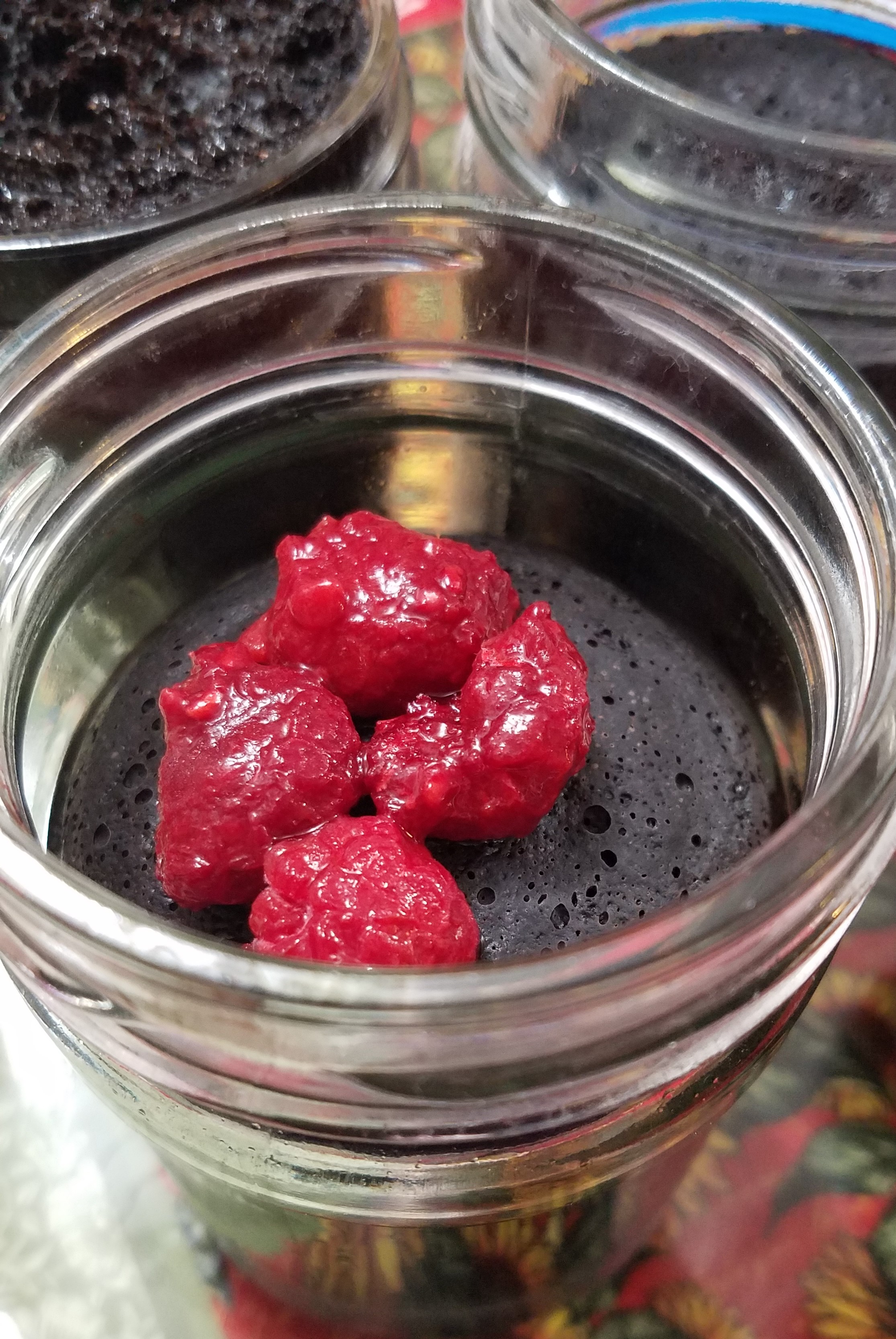 Chocolate Raspberry Jar Cakes in The Crock