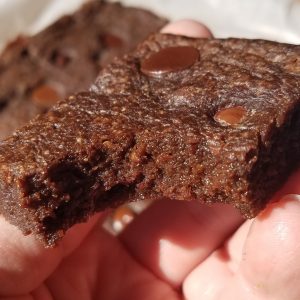 gluten free fudge brownies with chocolate chips