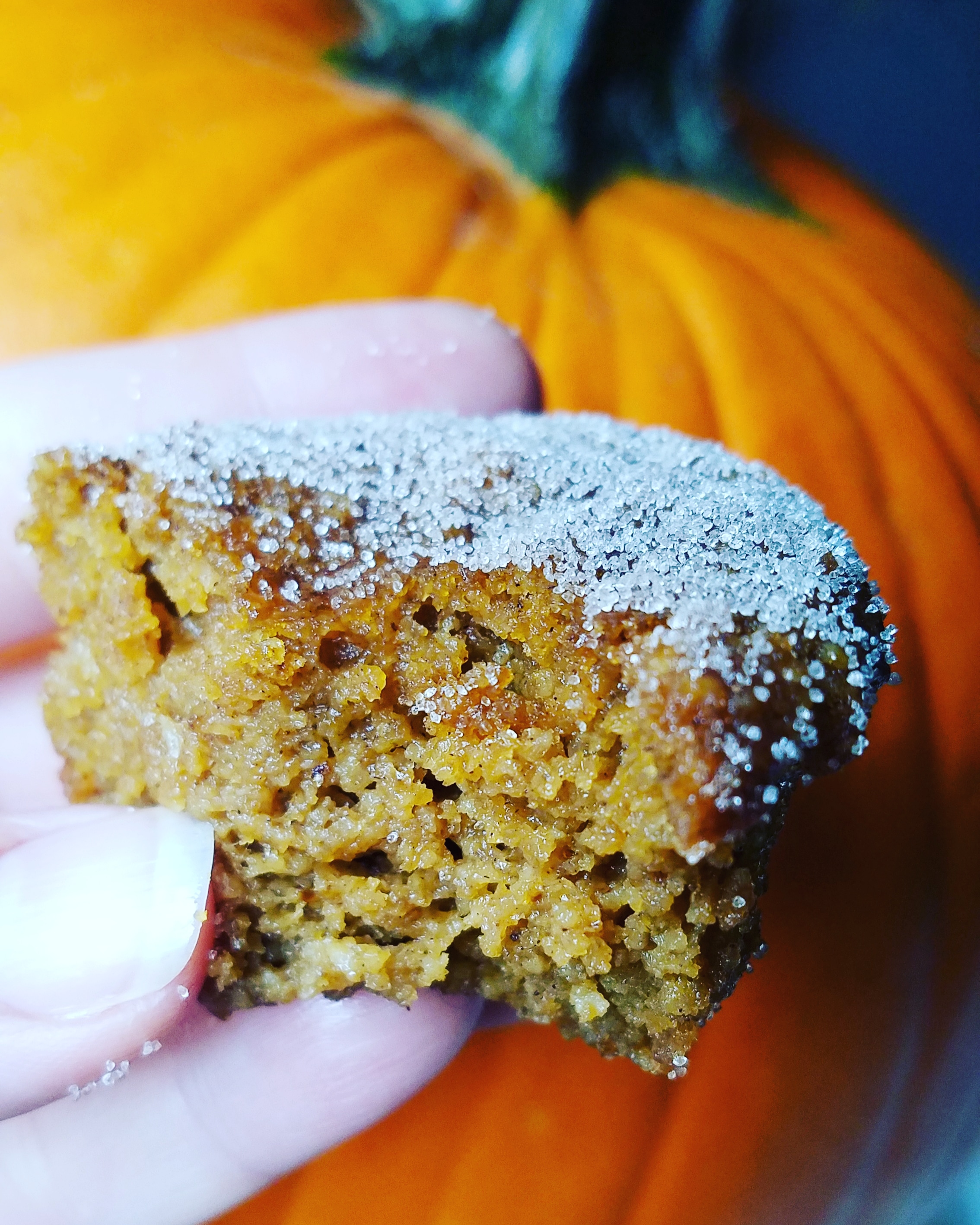 Low Carb Pumpkin Pie Muffins