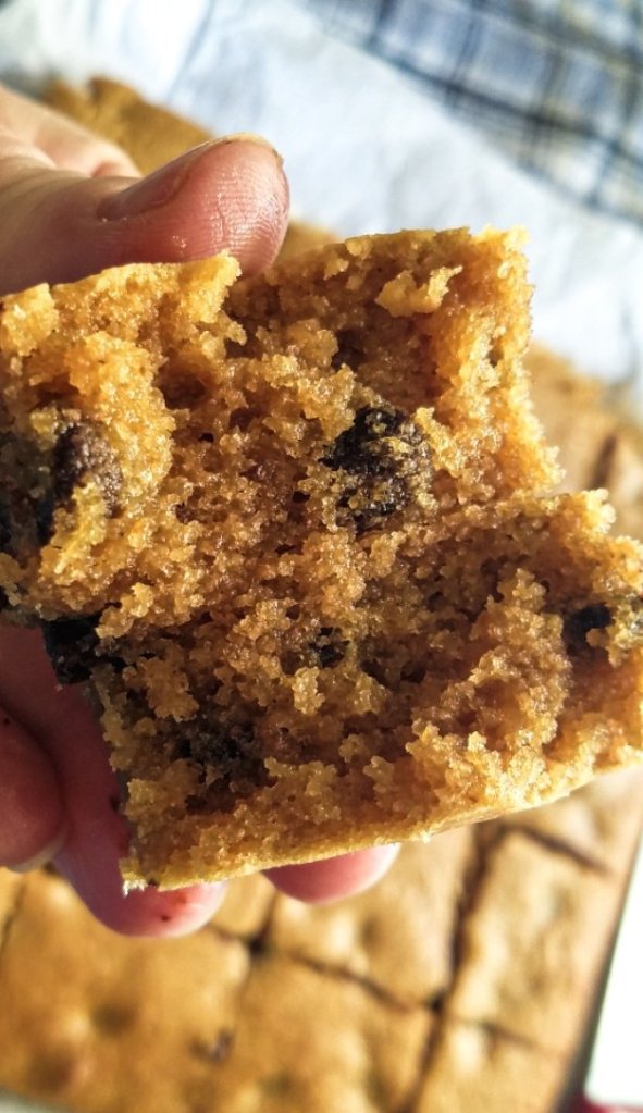 keto chocolate chip blondies with texture