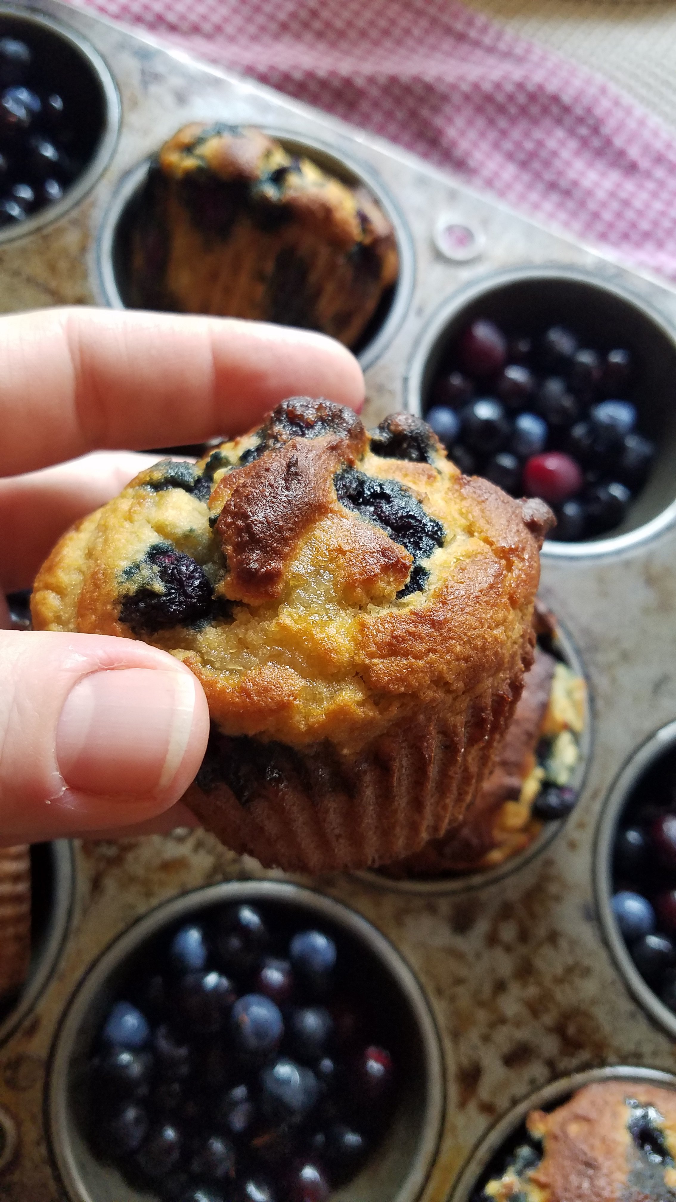 Keto blueberry muffin closeup