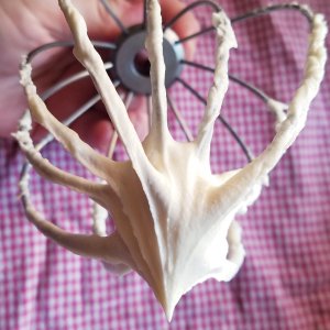 gluten free buttercream frosting on a whisk.