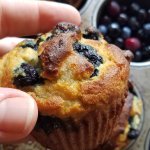Keto Blueberry Muffins made with coconut flour
