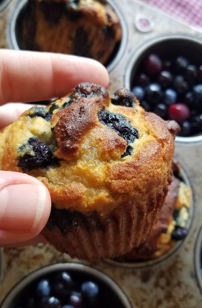 Keto Blueberry Muffins made with coconut flour.