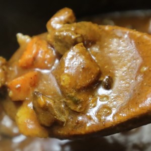 Closeup of black bear meat stew