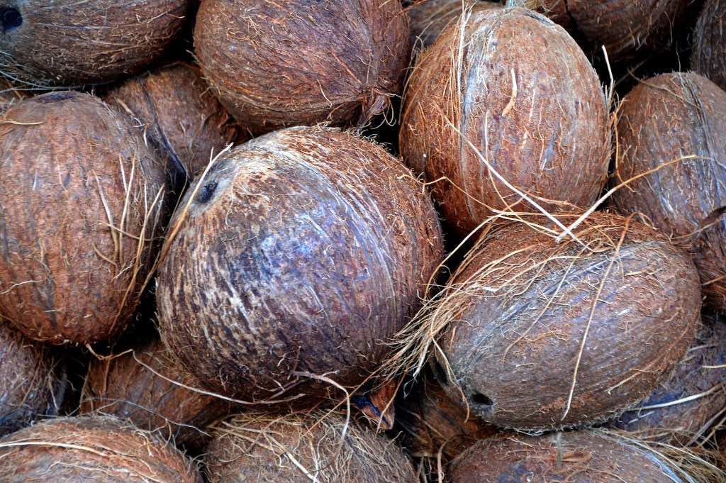 coconuts in a pile uncracked