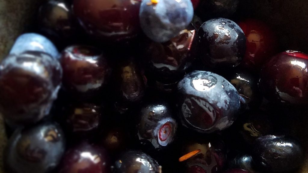 wild blueberries in a muffin tin