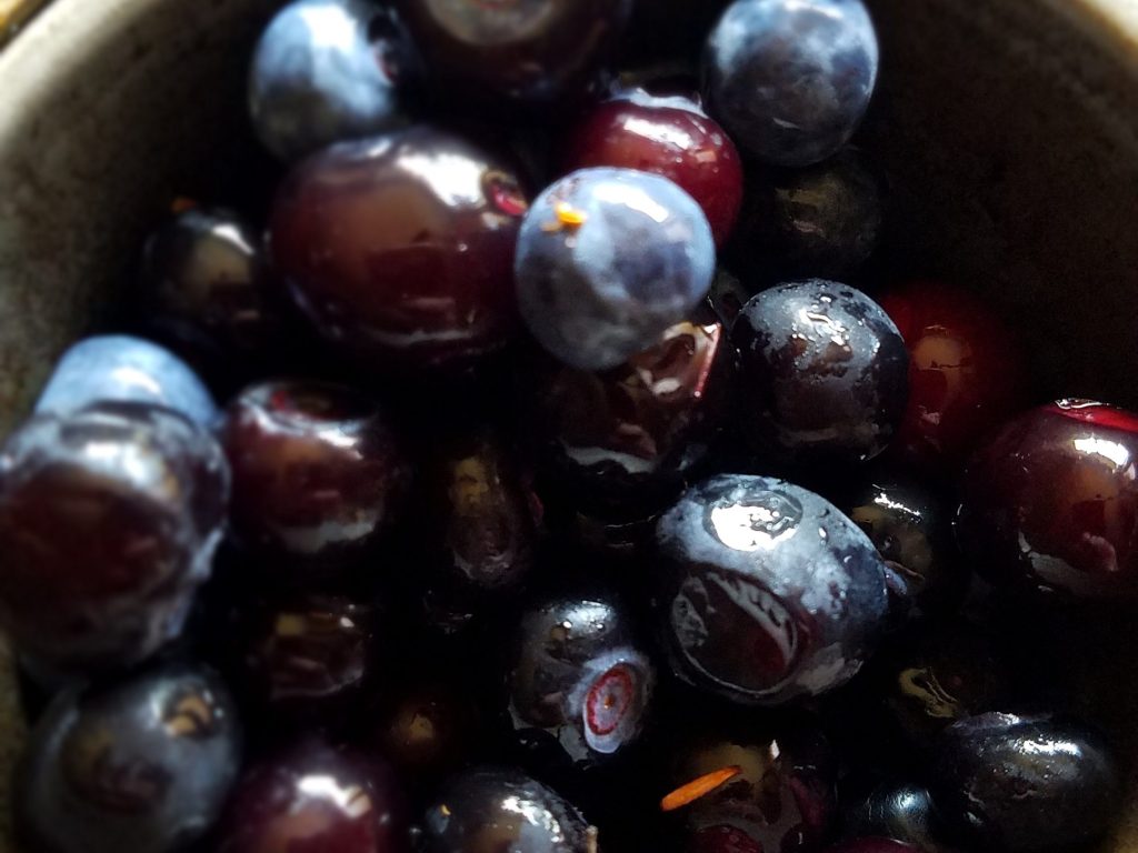 wild blueberries in a muffin tin