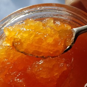 Sugar Free Grapefruit Marmalade Recipe