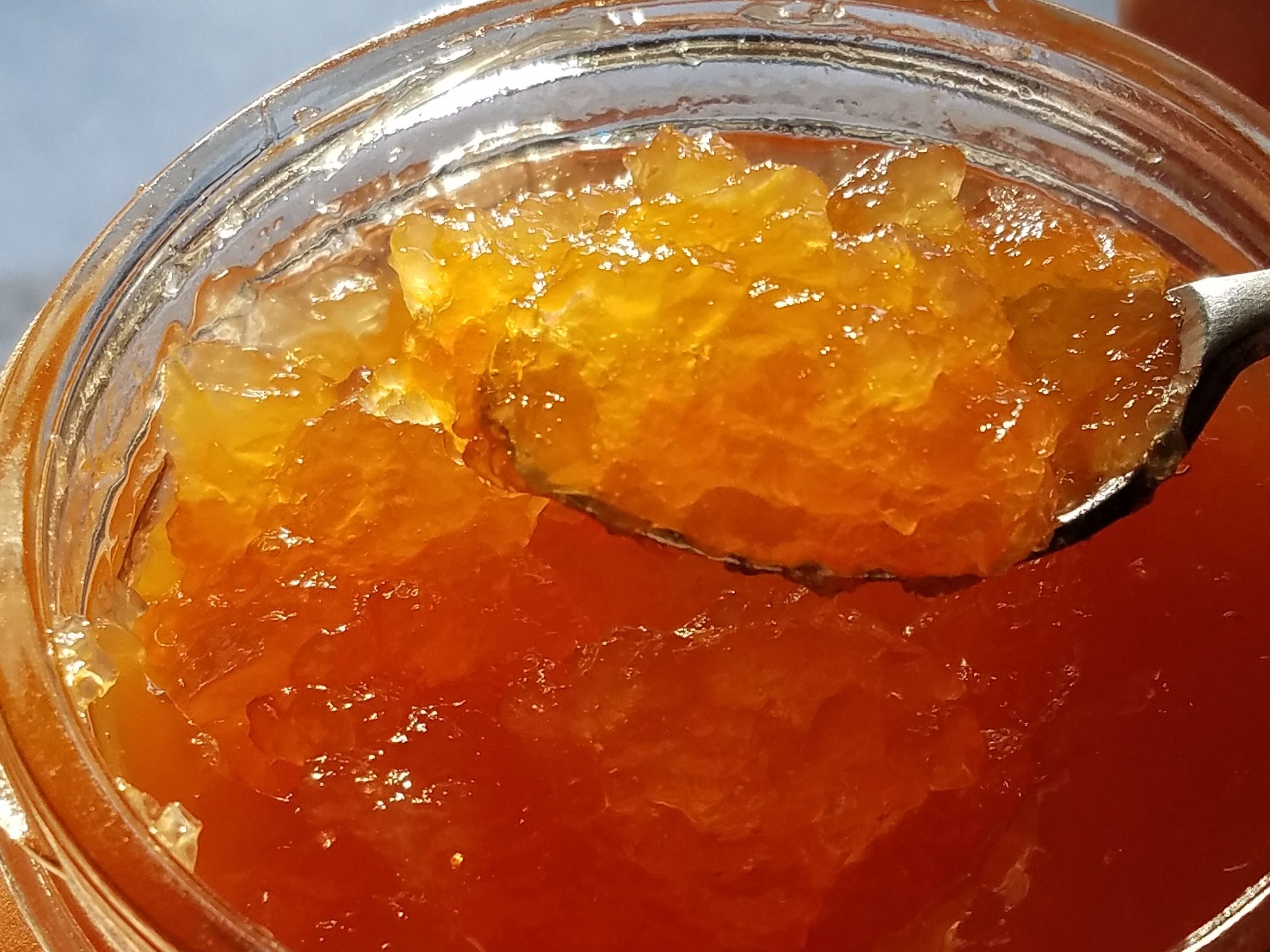 sugar free grapefruit marmalade