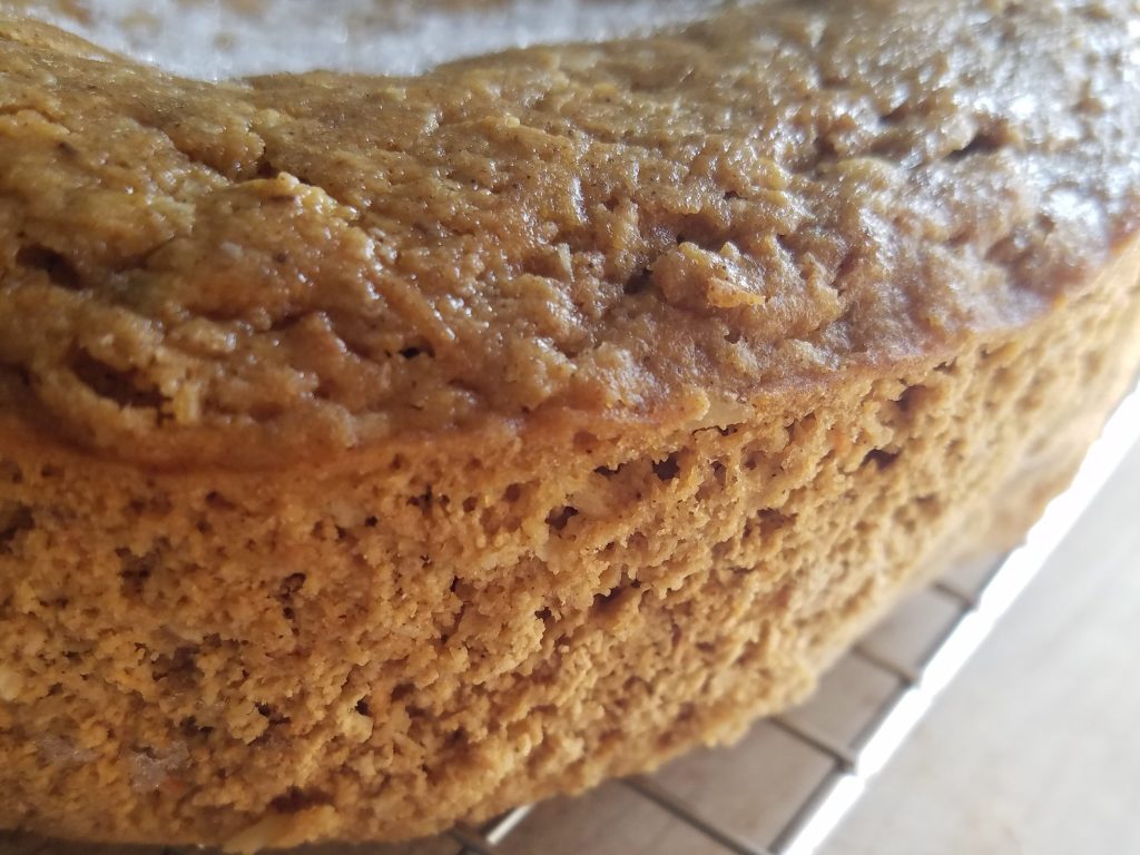low carb carrot cake frozen without icing