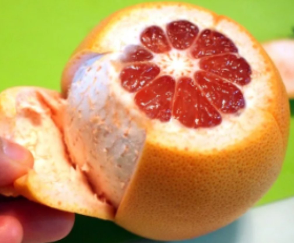 grapefruit peel for sugar free grapefruit marmalade recipe