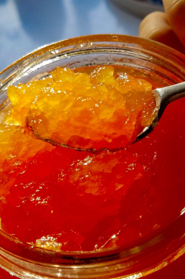 sugar free grapefruit marmalade