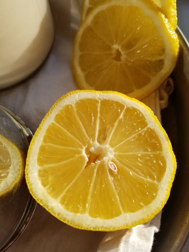 cut fresh lemon