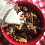 Healthy Gluten Free High Protein Cereal Recipe (Keto)