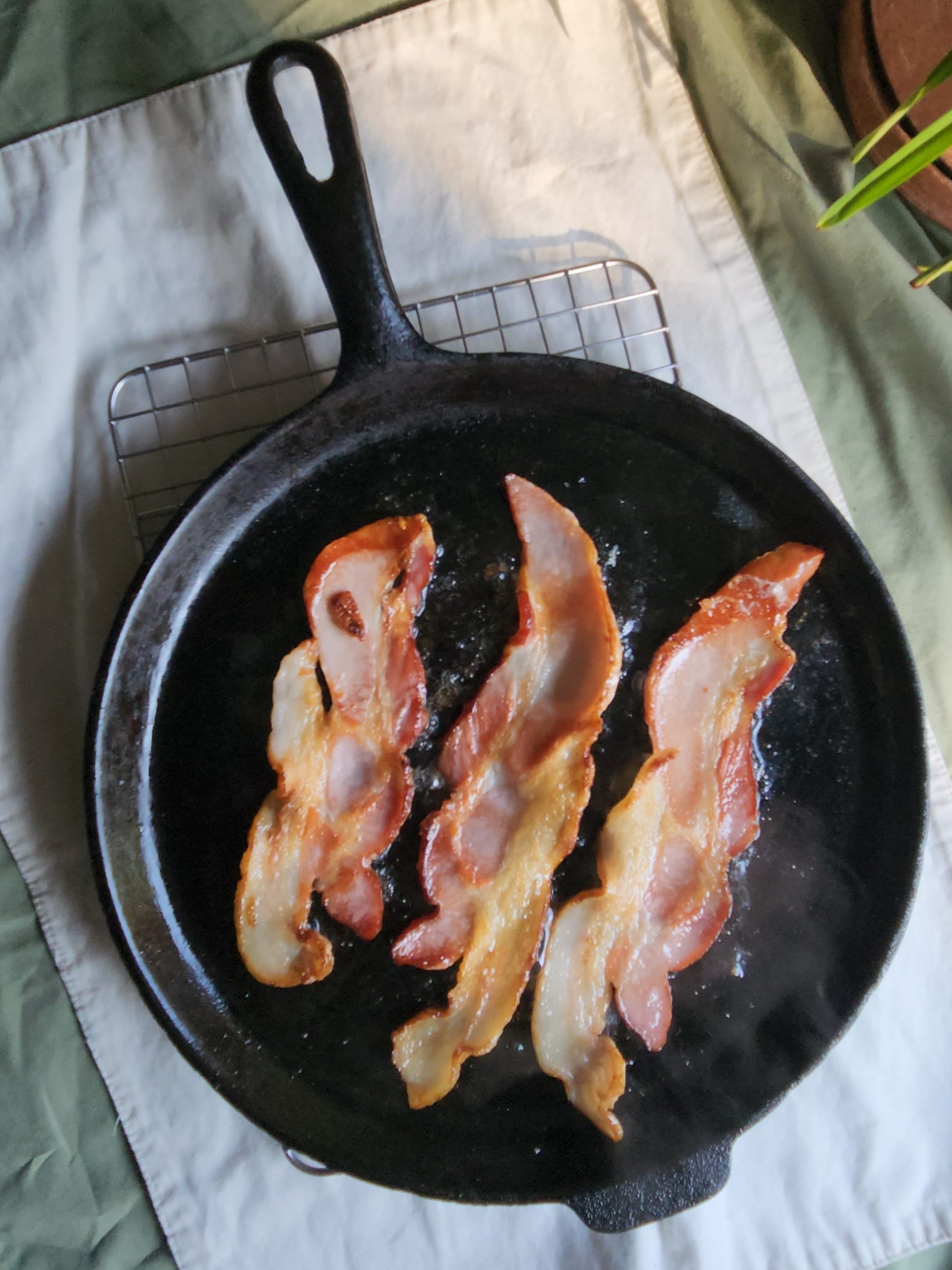 How to Season a Cast Iron Skillet with Bacon Grease