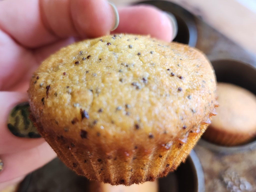 Hand holding Gluten free keto lemon poppyseed muffin recipe