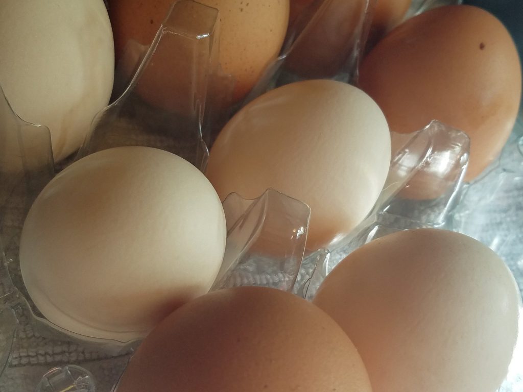 fresh eggs in a carton
