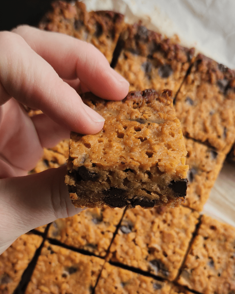 a piece of the Low Carb Gold Rush Bars closeup to show texture.
