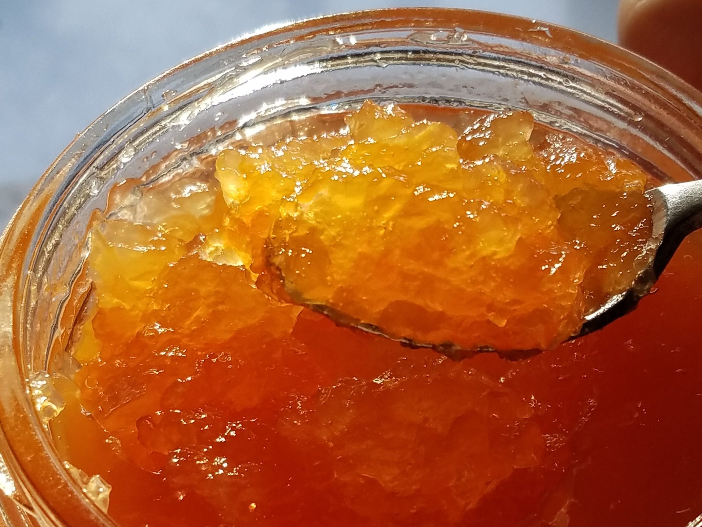 sugar free grapefruit marmalade
