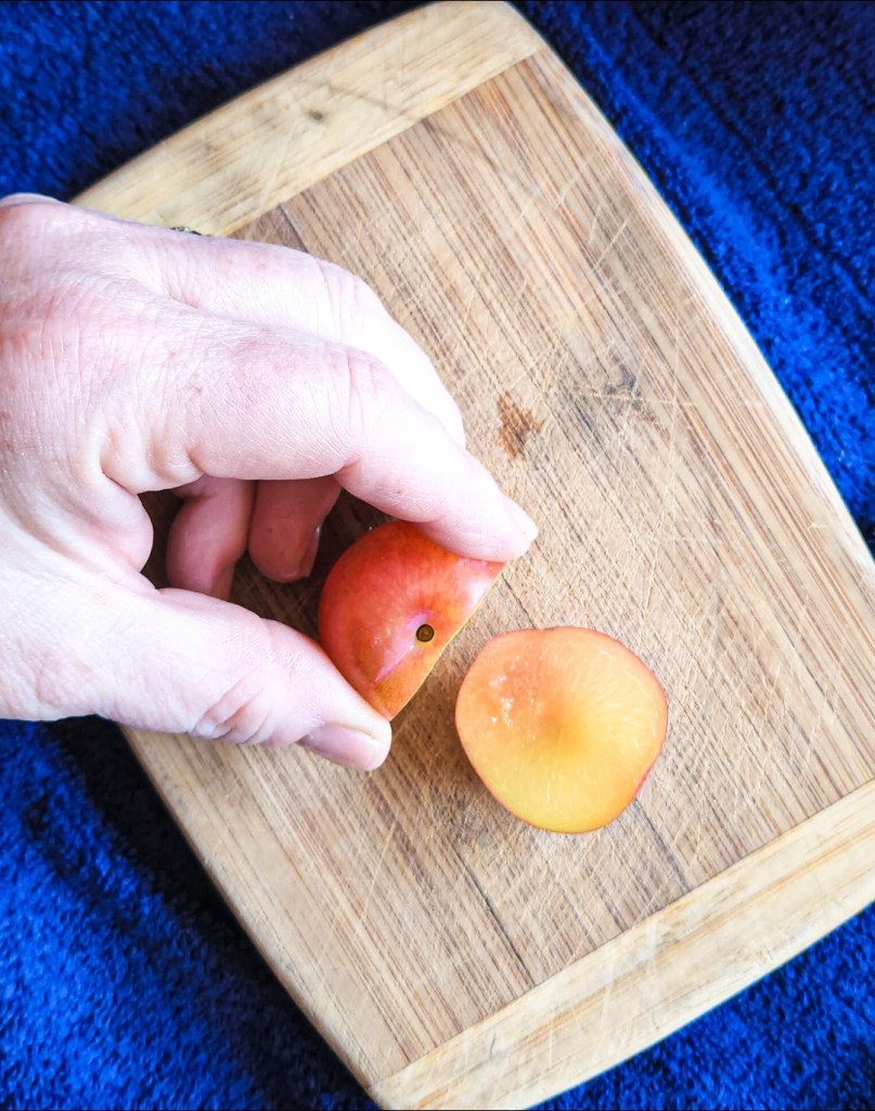 Showing how to cut a plum properly