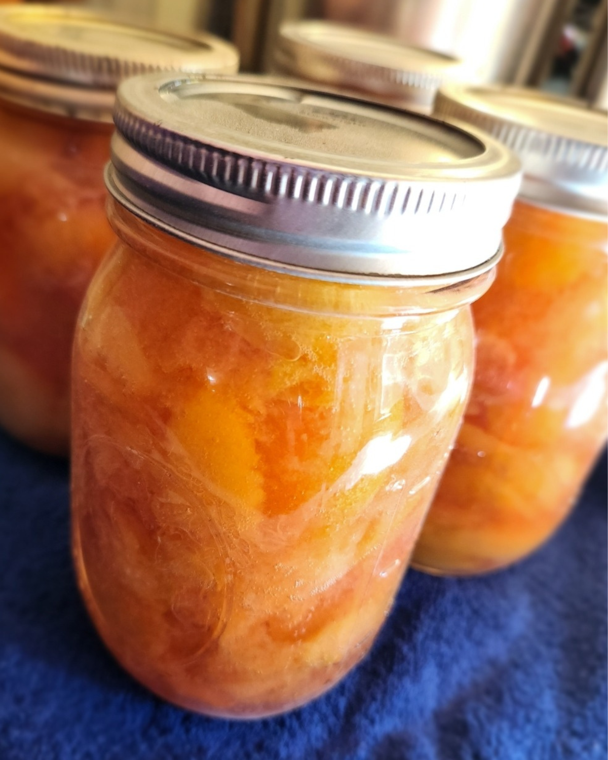 Easy Low Carb Recipe for Sugar Free Canned Plums