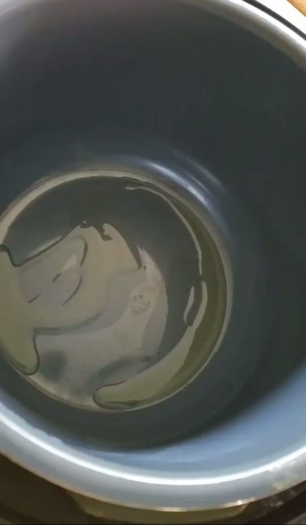 Oil in an empty instant pot