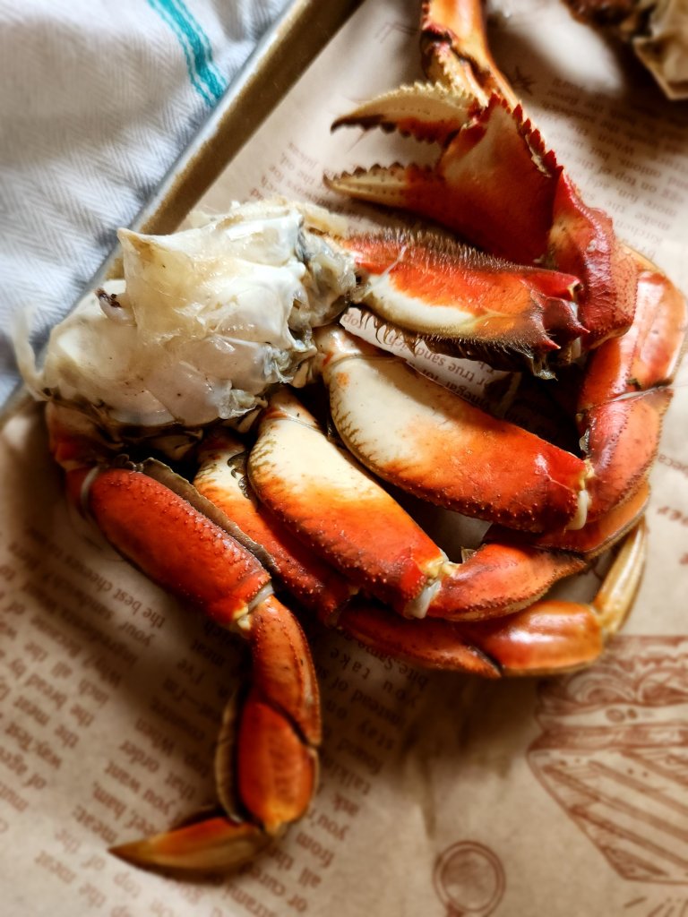 Fresh caught Dungeness crab cooked