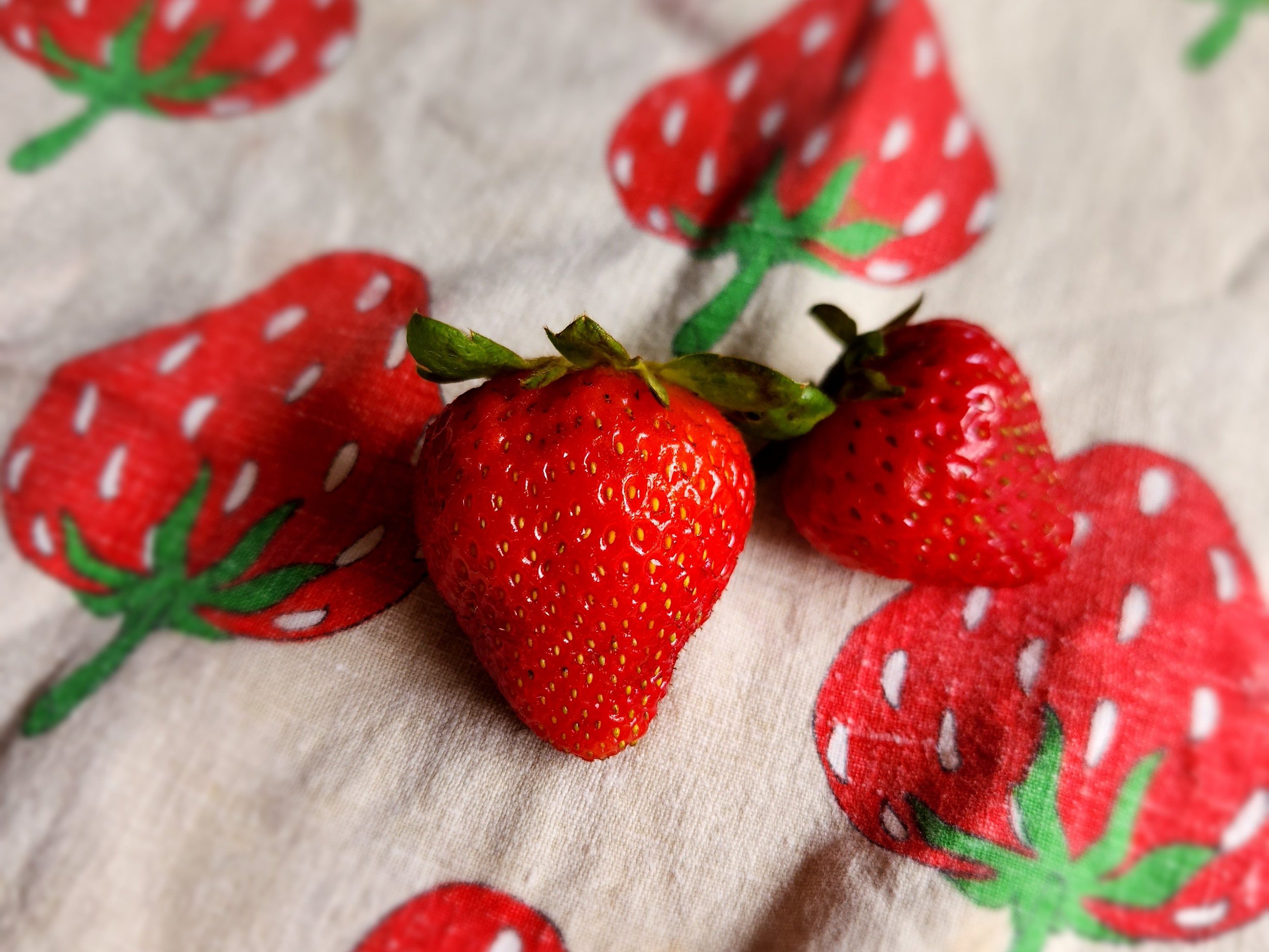 fresh strawberries on a towel with printed strawberries.