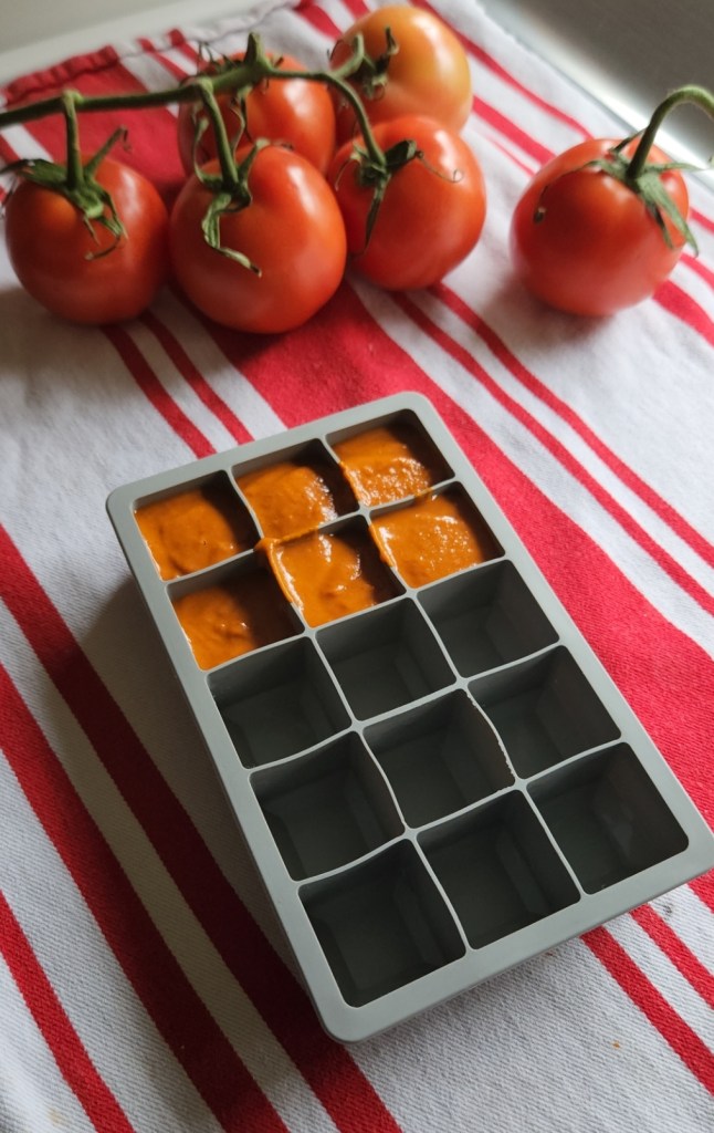 Poured easy low carb recipe for gluten-free enchilada sauce into and ice cube tray to freeze.