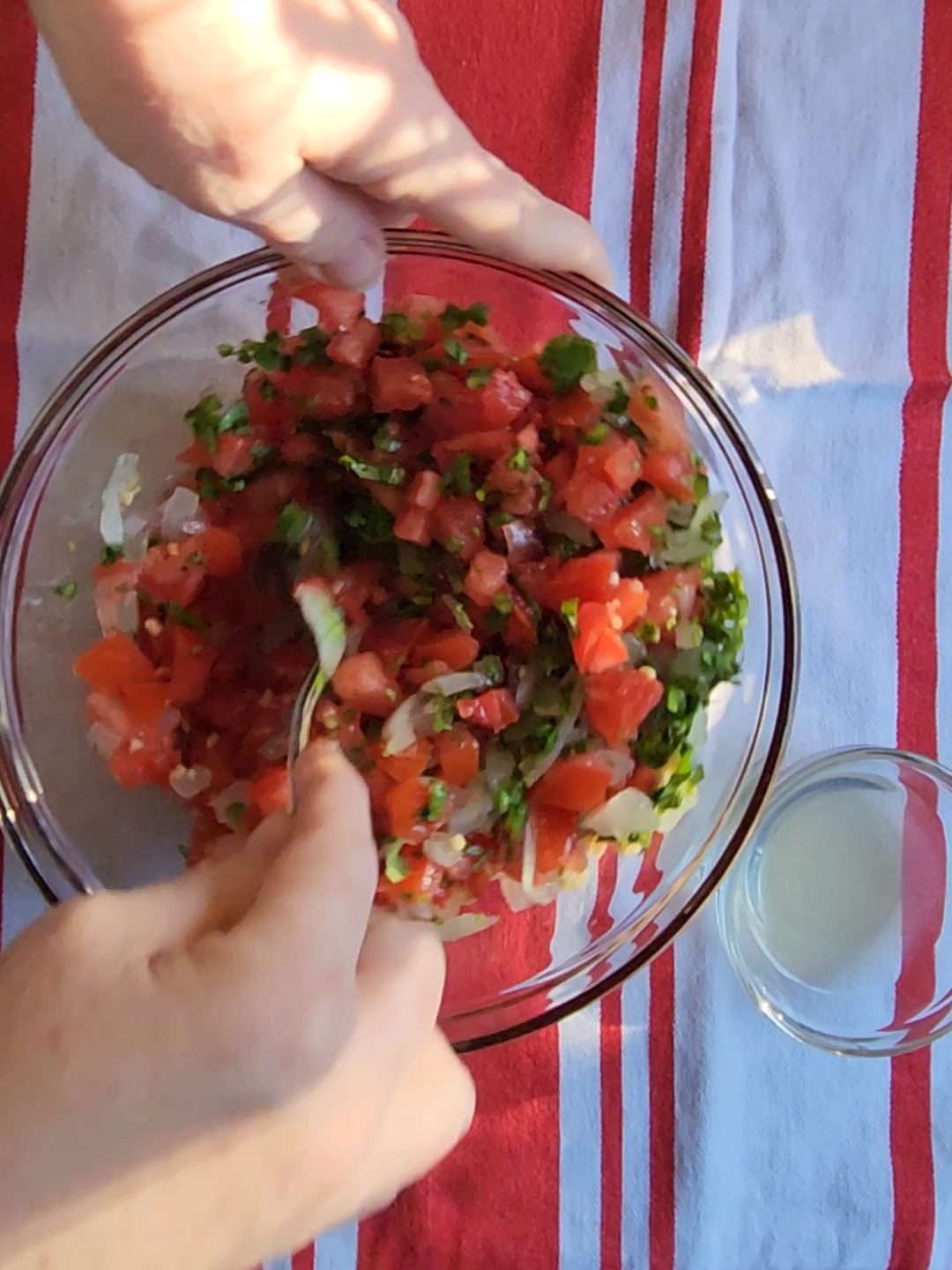 blending the ingredients together for fresh pico de gallo.