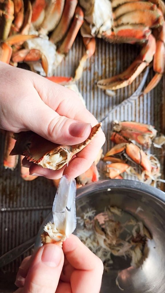 Cracking Dungeness crab legs to remove meat.