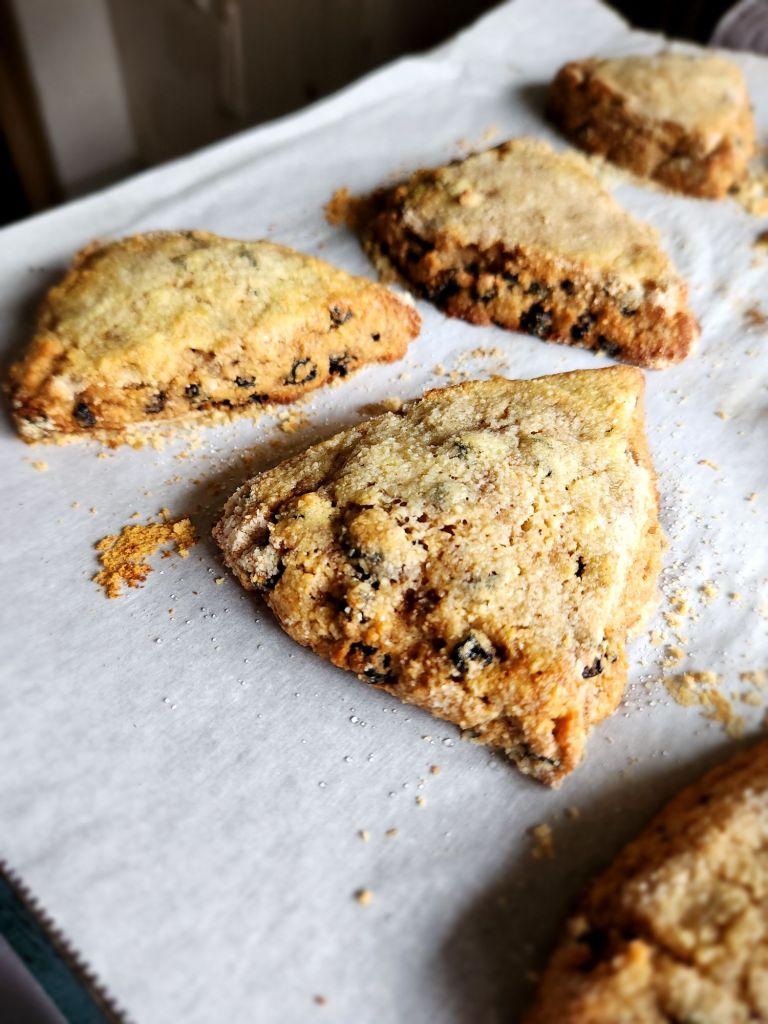 Can you freeze gluten free scones? Tips plus easy recipe.