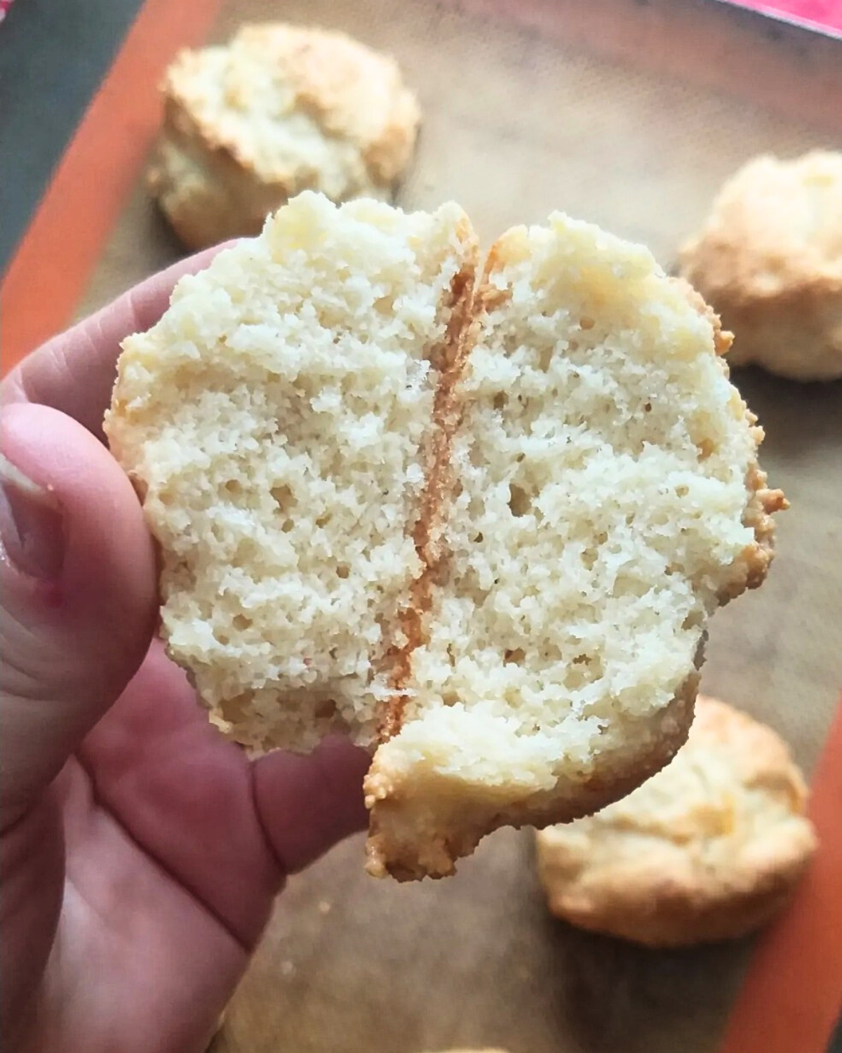 Easy 5 ingredient keto drop biscuits gluten free.