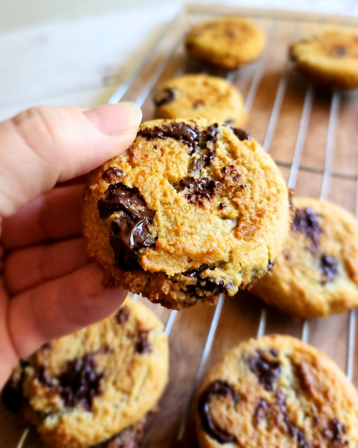 Soft Batch Gluten Free Low Carb Chocolate Chip Cookie