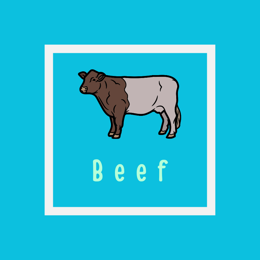 Main dish beef.