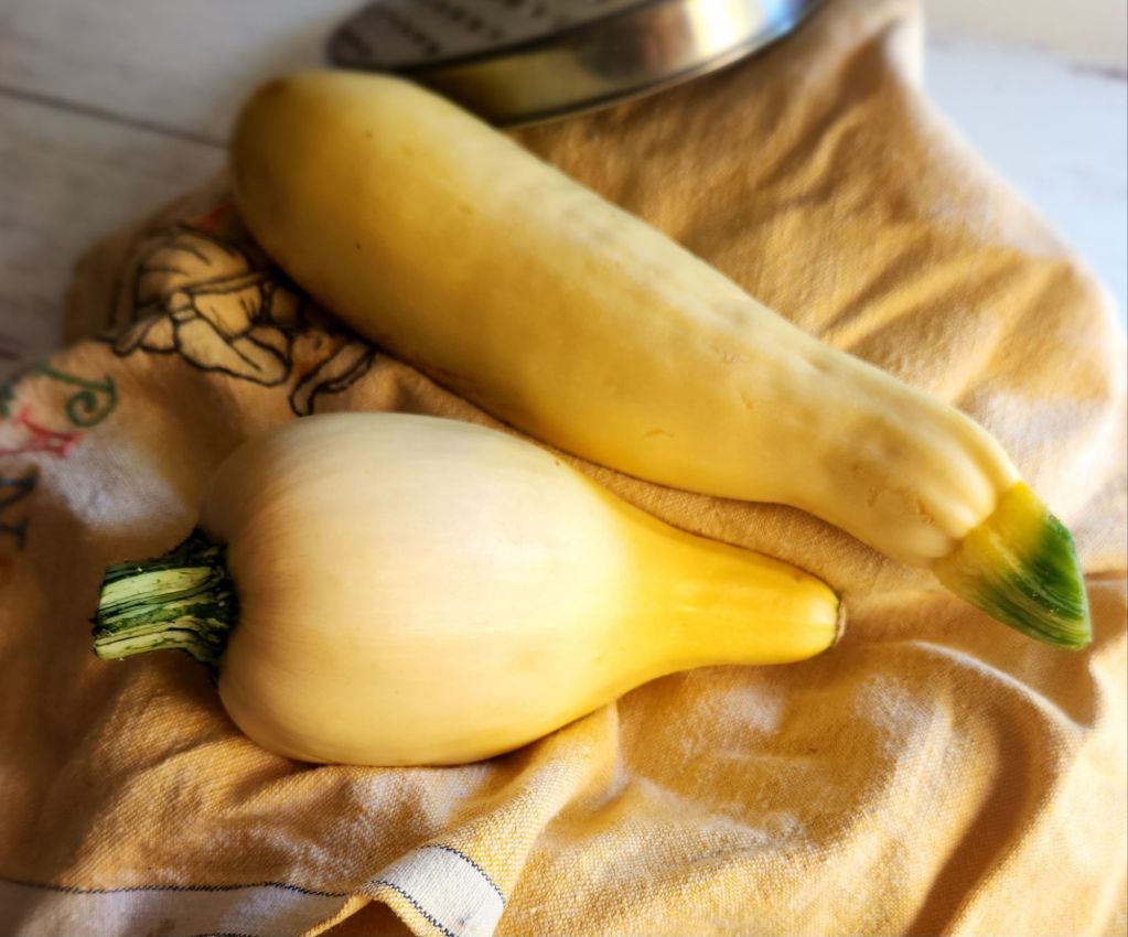 Yellow summer squash.