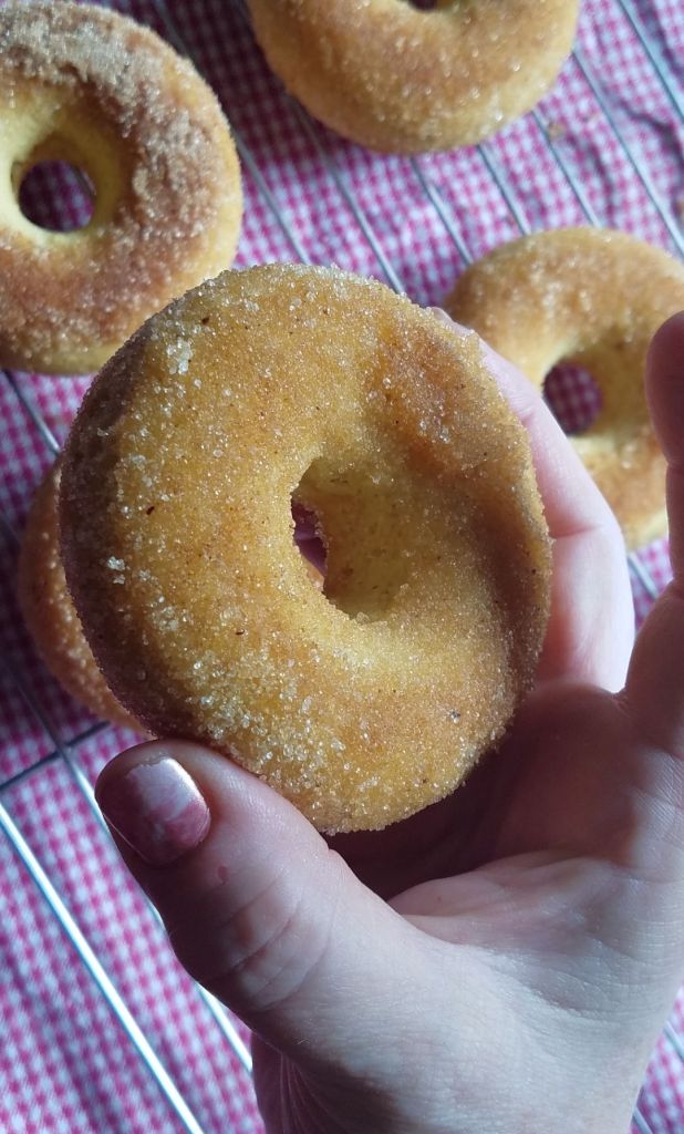 Easy Gluten Free Cinnamon Sugar Baked Donuts Recipe.