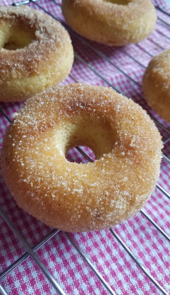 Easy Gluten Free Cinnamon Sugar Baked Donuts Recipe.