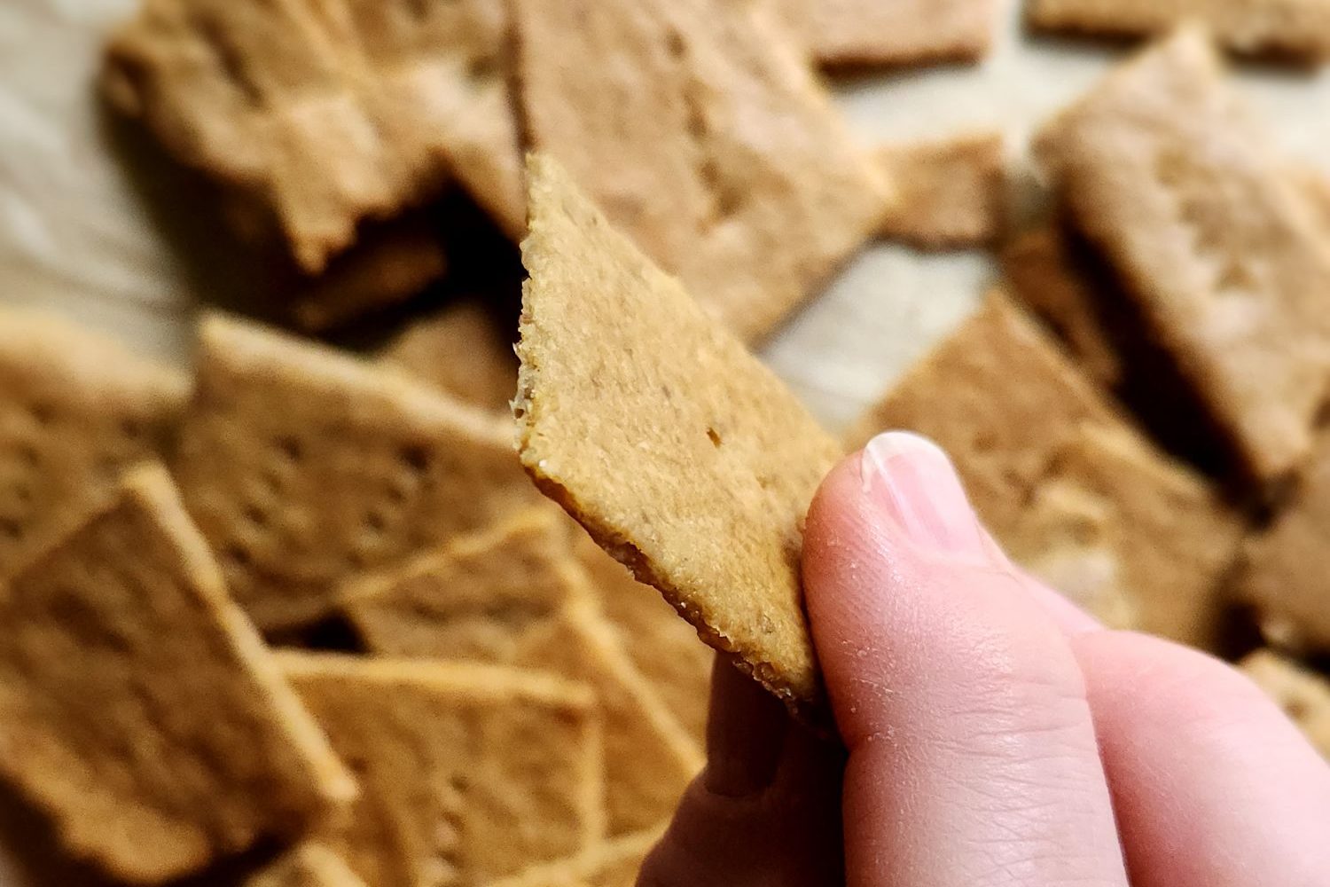 Gluten-Free Nut Free Sunflower Seed Crackers Recipe.
