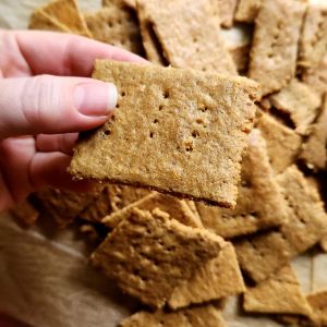 Gluten-Free Nut Free Sunflower Seed Crackers Recipe.