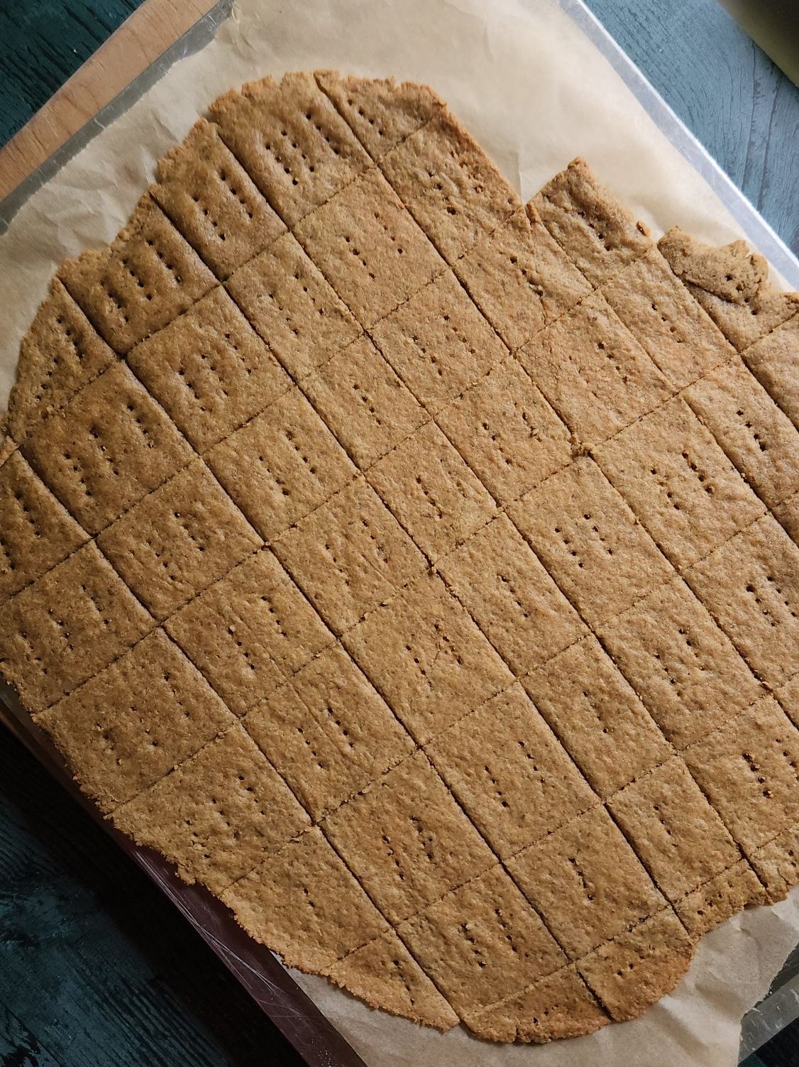 Gluten-Free Nut Free Sunflower Seed Crackers Recipe dough baked.