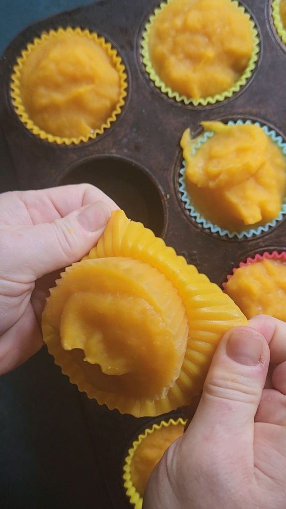 Frozen pucks of pumpkin puree.