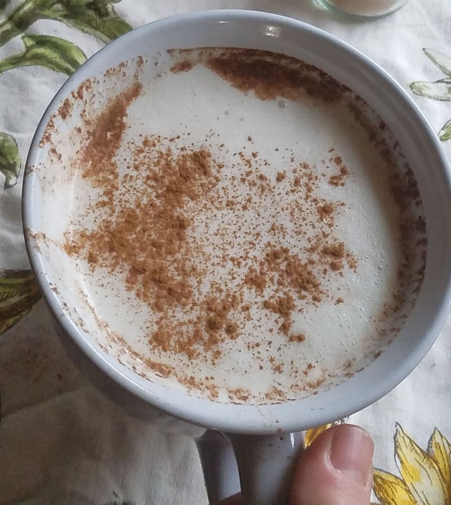 hot chocolate with foamed milk and sprinkle of cinnamon.