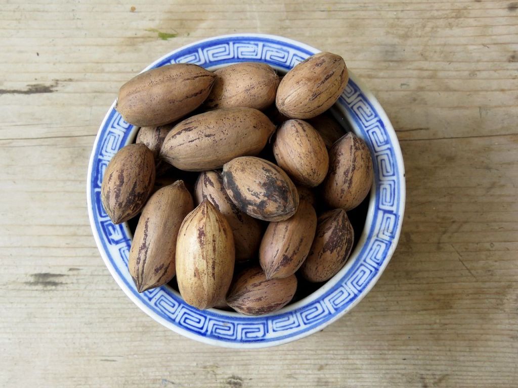 pecans in shell in a bowl