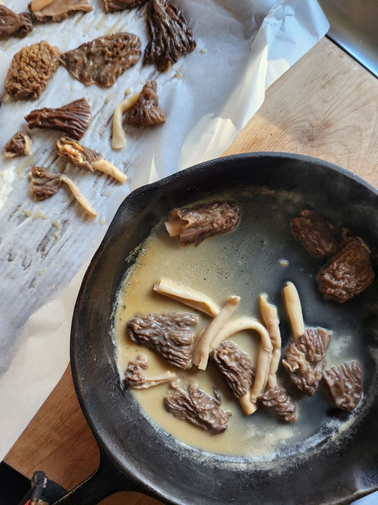 Sauteeing wild morel mushrooms